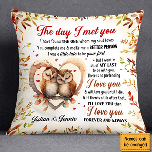 Gift For Couple Owl Couple The Day I Met You Pillow