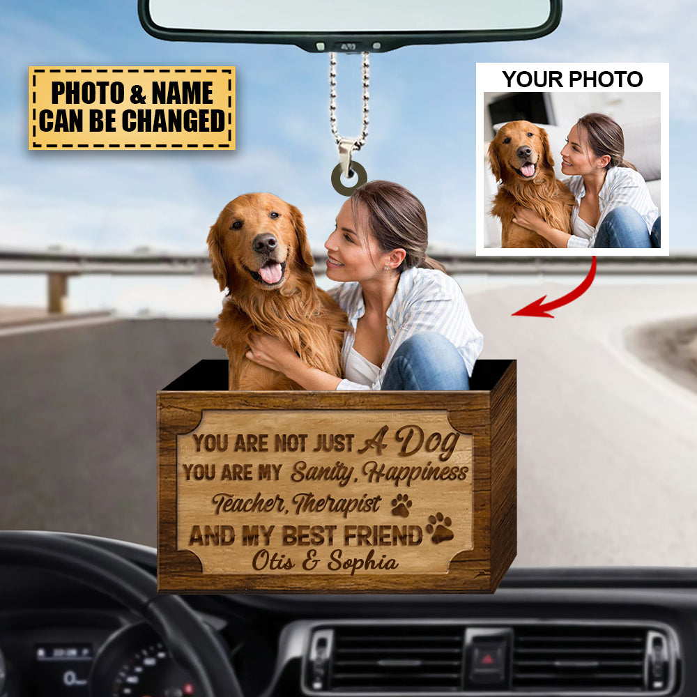 PERSONALIZED CAR HANGING ORNAMENT - GIFT FOR DOG LOVER-YOU ARE NOT JUST A DOG